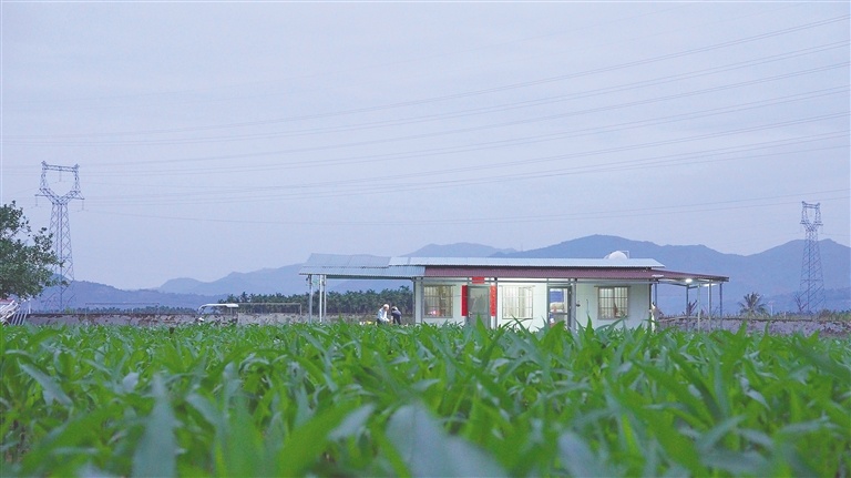 程相文在崖州区南滨居的育种板房。《守穗》拍摄团队供图
